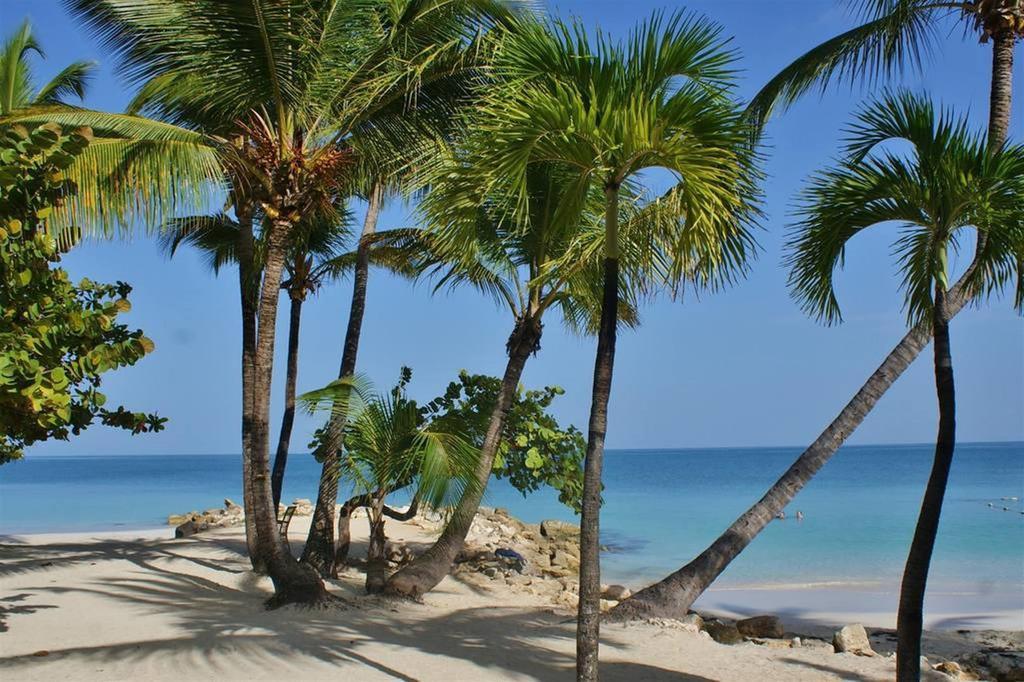 Siboney Beach Club St. John's Exterior foto
